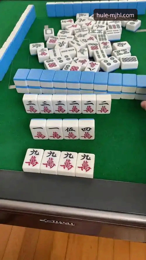 麻将胡了娱乐平台最新动态：老用户深度测评与实用经验分享