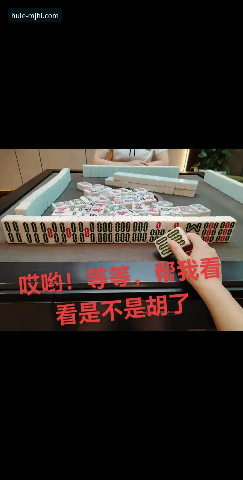 麻将胡了体育赛事体验详解：从新手到老手的真实感受